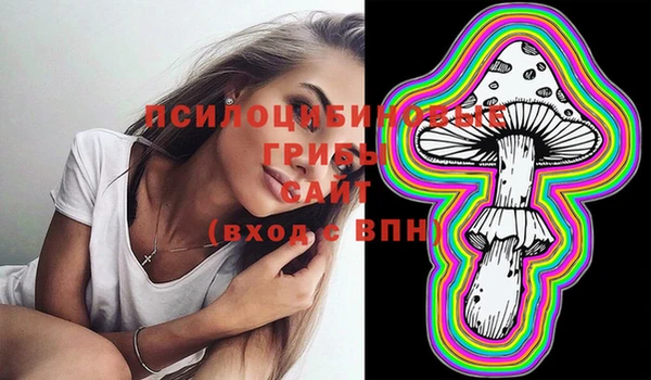 стафф Алексеевка