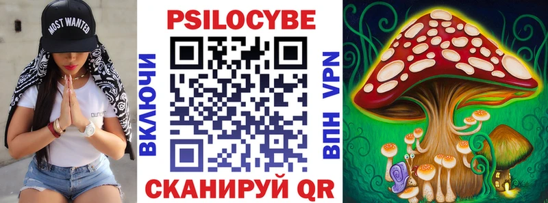 Галлюциногенные грибы Magic Shrooms Сланцы
